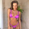 neta_alchimister Altpins Profile Picture