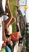 neta_alchimister Altpins Profile Picture