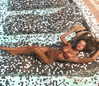 neta_alchimister Altpins Profile Picture