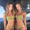 neta_alchimister Altpins Profile Picture