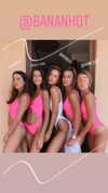 neta_alchimister Altpins Profile Picture