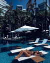 neta_alchimister Altpins Profile Picture