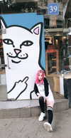 nicakitty Altpins Profile Picture