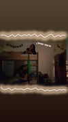 noy7_ Altpins Profile Picture