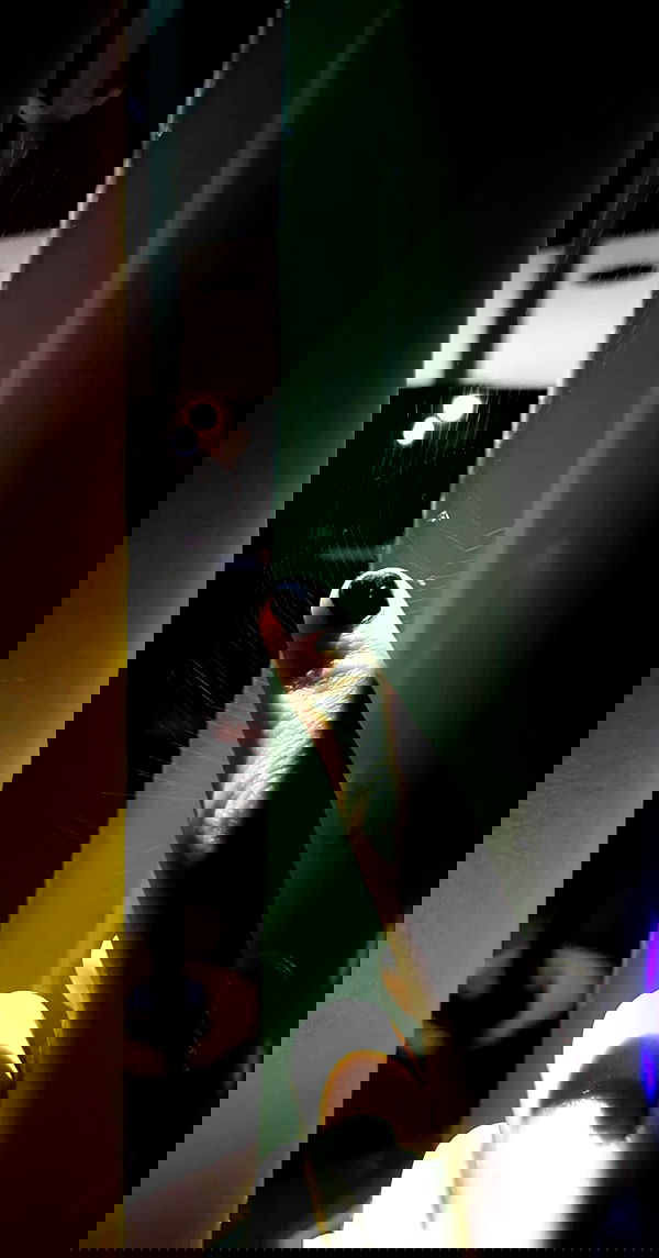 noyaislilith333 noyaislilith333 archive image