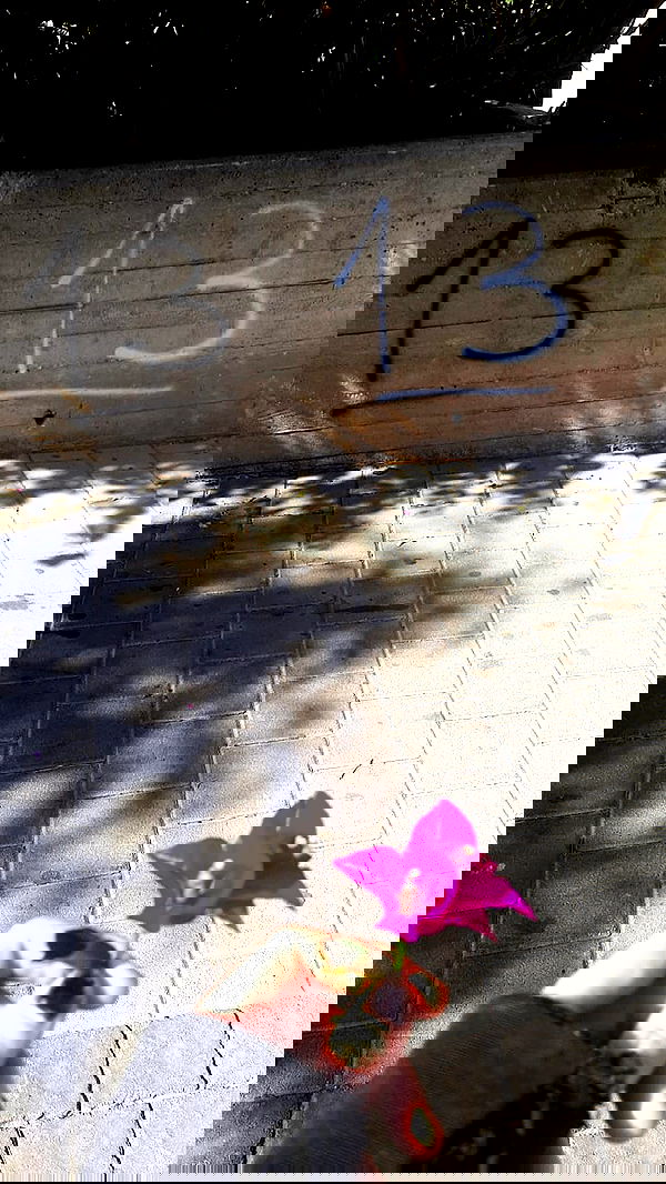 noyaislilith333 noyaislilith333 archive image