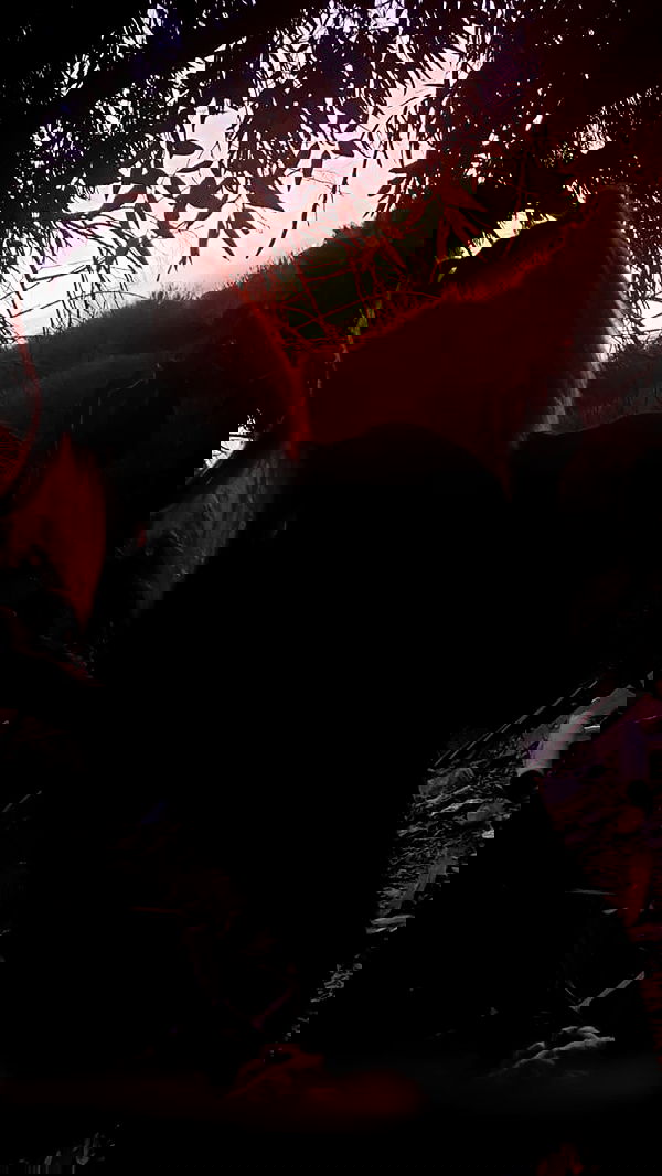 noyaislilith333 noyaislilith333 archive image