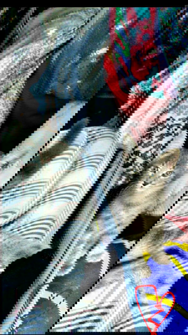 noyaislilith333 noyaislilith333 archive image