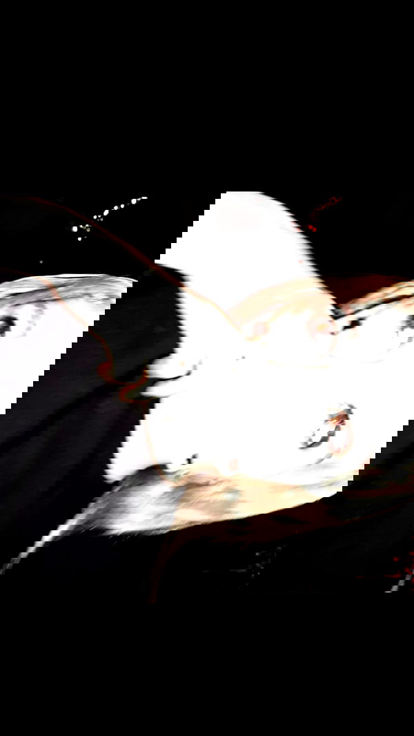 noyaislilith333 noyaislilith333 archive image