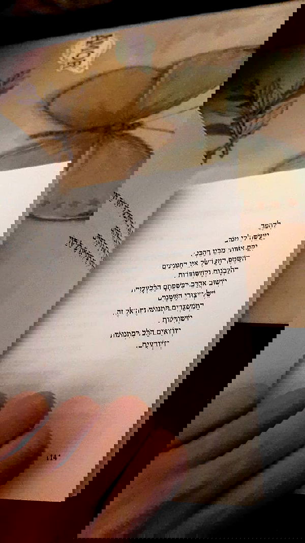 noyaislilith333 noyaislilith333 archive image