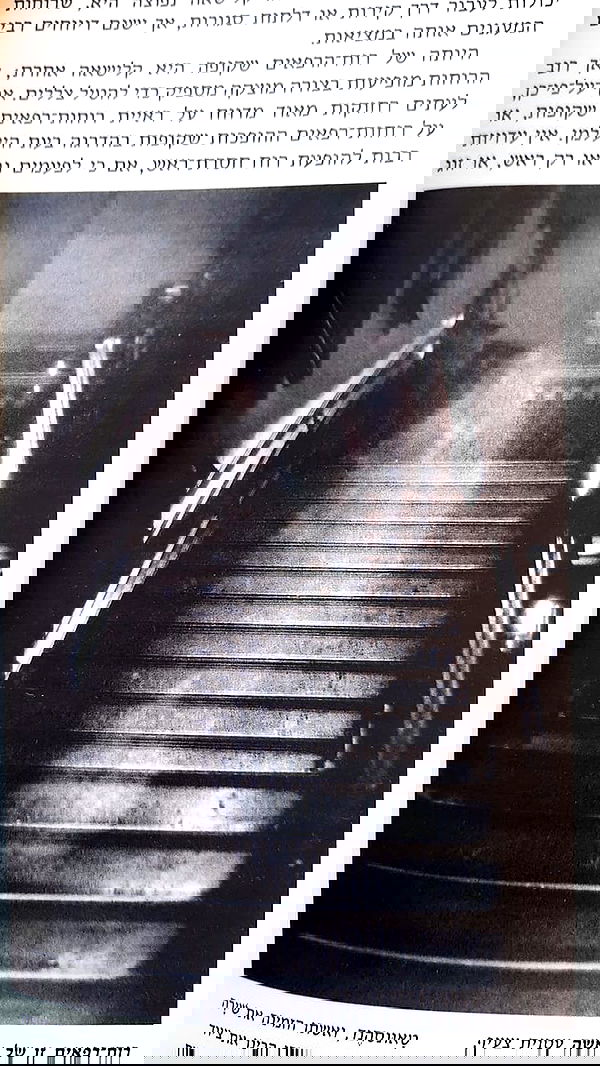 noyaislilith333 noyaislilith333 archive image