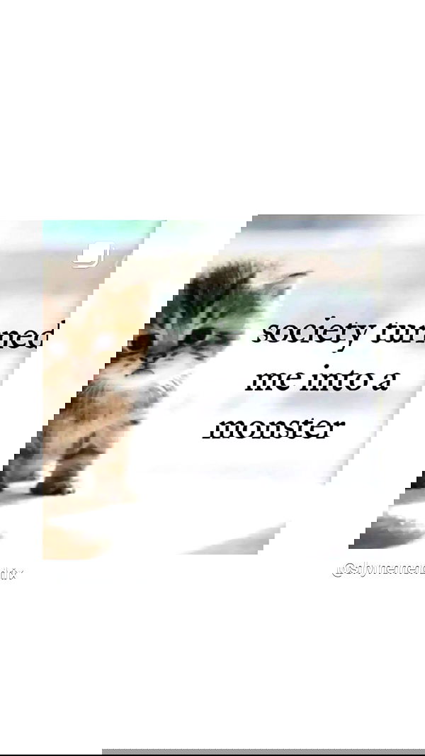 noyaislilith333 noyaislilith333 archive image