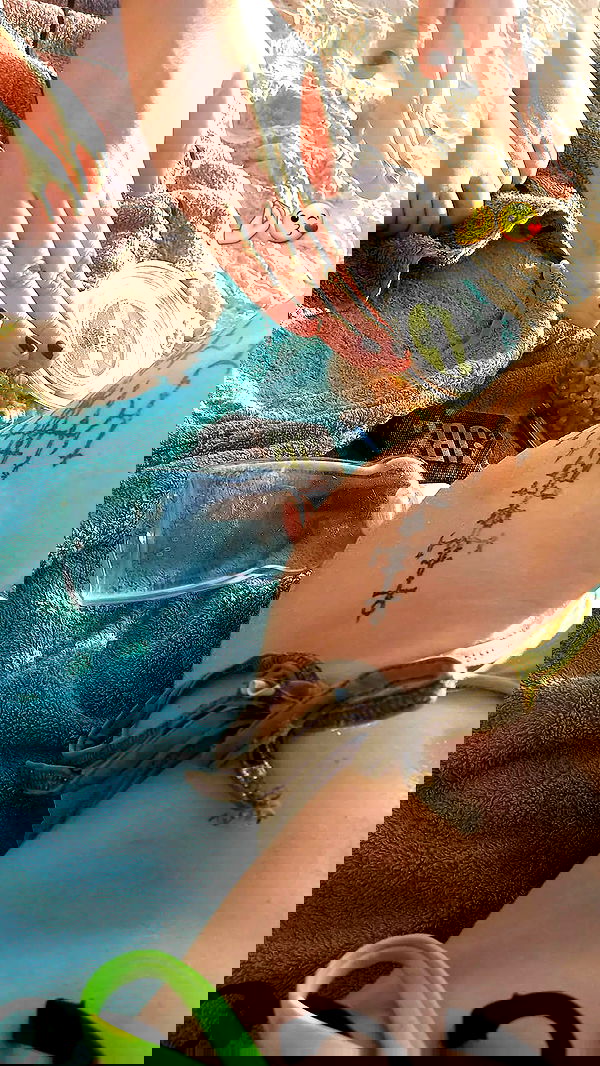 noyaislilith333 noyaislilith333 archive image