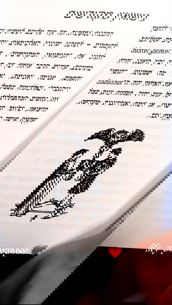 noyaislilith333 noyaislilith333 archive image