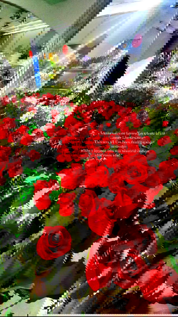 noyaislilith333 noyaislilith333 archive image