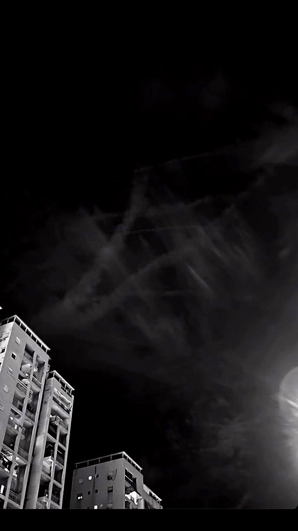 reeftzitpitzit reeftzitpitzit archive image