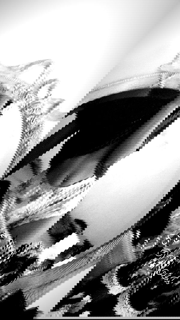 rene2141 rene2141 archive image