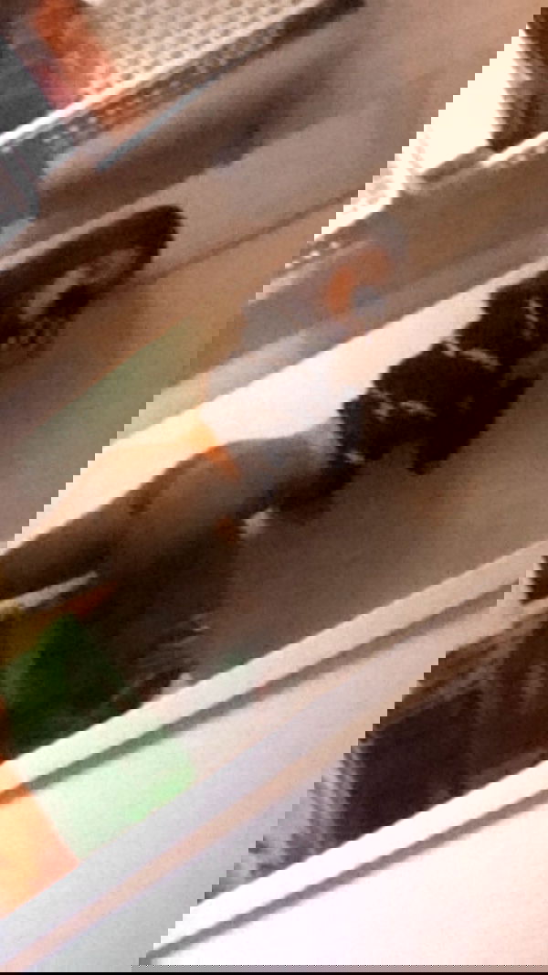 rene2141 rene2141 archive image