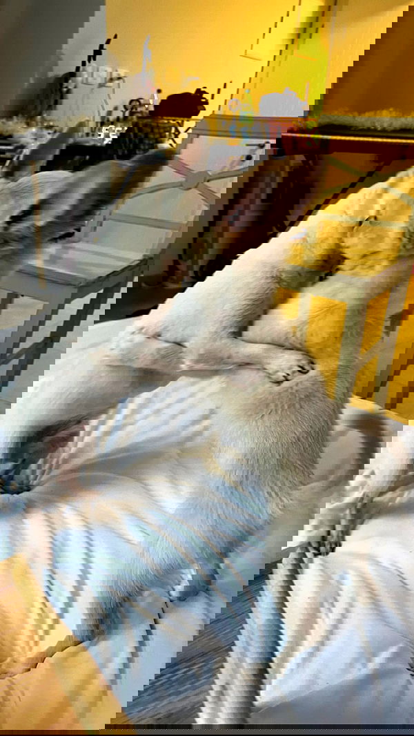 rinsrain rinsrain archive image