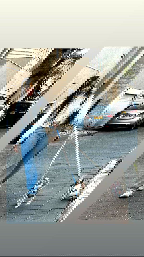 rinsrain rinsrain archive image