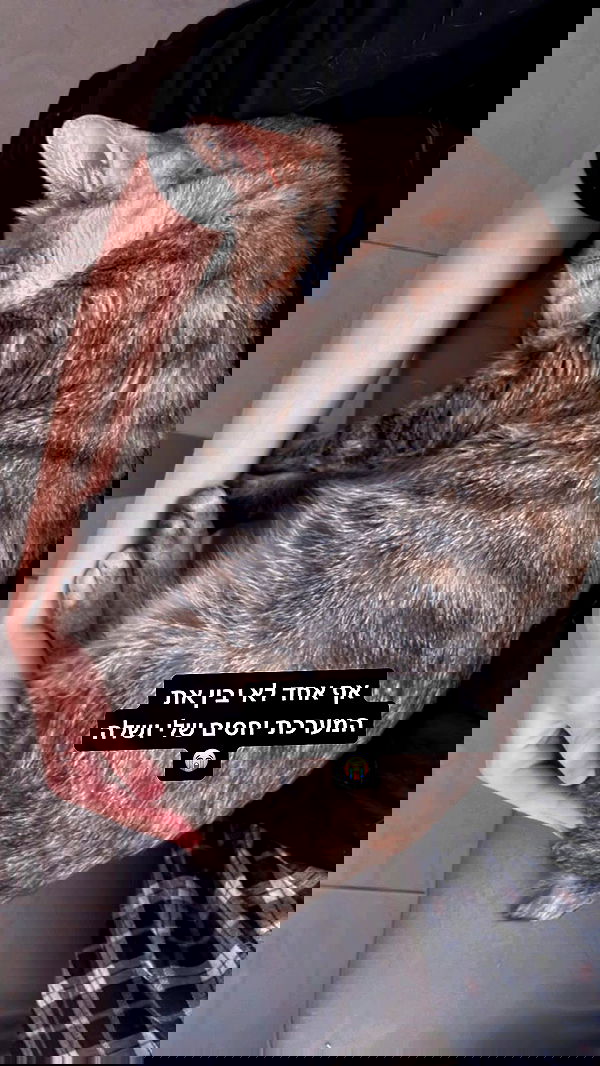 laluzone laluzone archive image