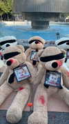 roni_ackerman Altpins Profile Picture