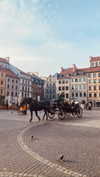 roni_ackerman Altpins Profile Picture