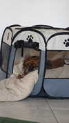 roni_ackerman Altpins Profile Picture