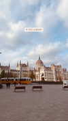 roni_ackerman Altpins Profile Picture