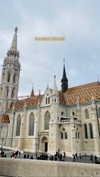 roni_ackerman Altpins Profile Picture