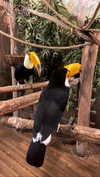 roni_ackerman Altpins Profile Picture