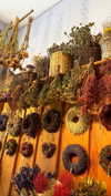 roni_ackerman Altpins Profile Picture