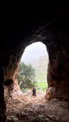 roni_ackerman Altpins Profile Picture