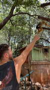 roni_ackerman Altpins Profile Picture
