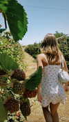 roni_ackerman Altpins Profile Picture