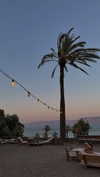 roni_ackerman Altpins Profile Picture