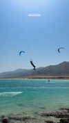 roni_ackerman Altpins Profile Picture
