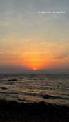 roni_ackerman Altpins Profile Picture