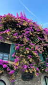 roni_ackerman Altpins Profile Picture