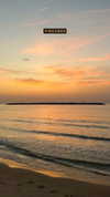 roni_ackerman Altpins Profile Picture