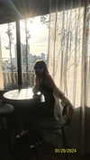 roni_ackerman Altpins Profile Picture