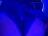 sadierayxo Altpins Profile Picture