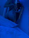 sadierayxo Altpins Profile Picture