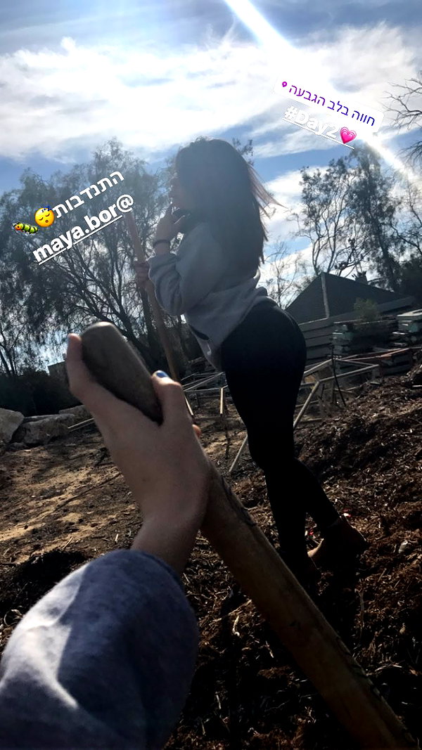 shalva.cohen instagram image archive image