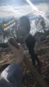 shalva.cohen Altpins Profile Picture