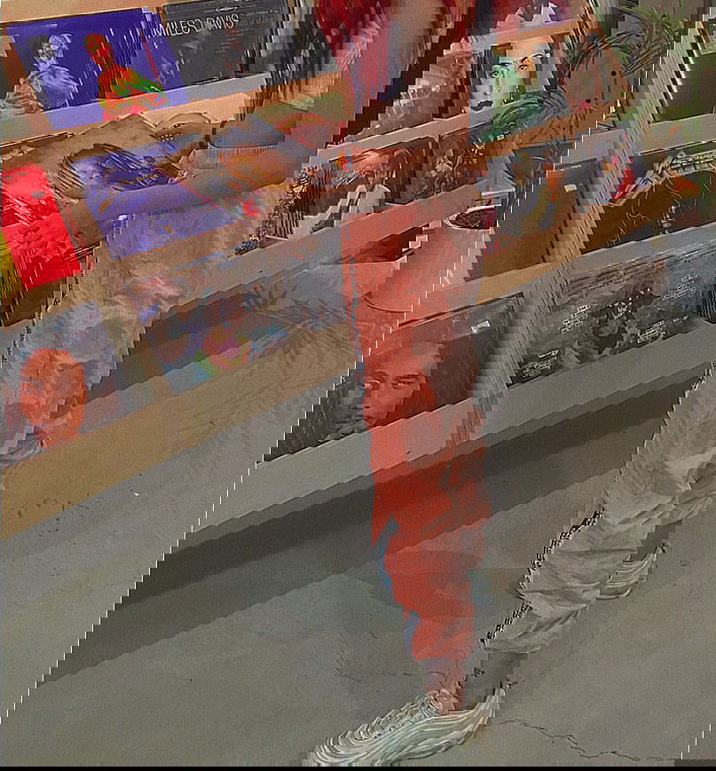 shanidahan7 instagram image archive image