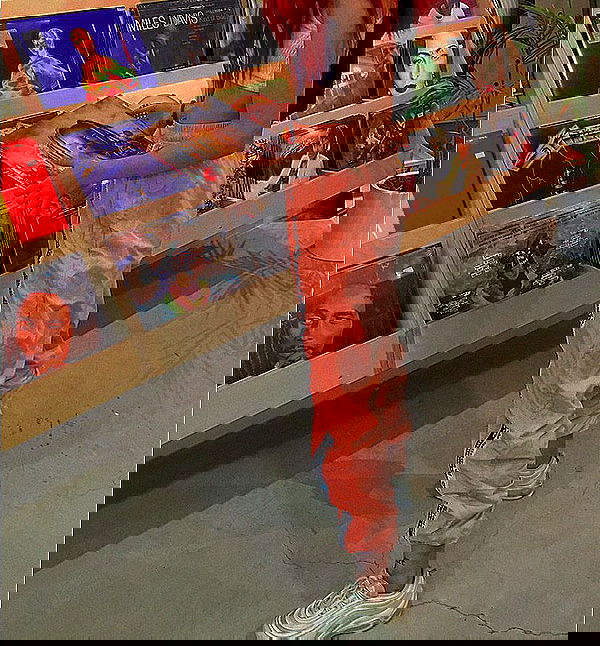 shanidahan7 image ~ Altpins