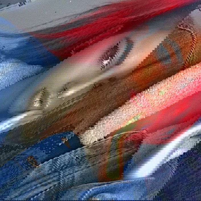 shanidahan7 instagram image archive image