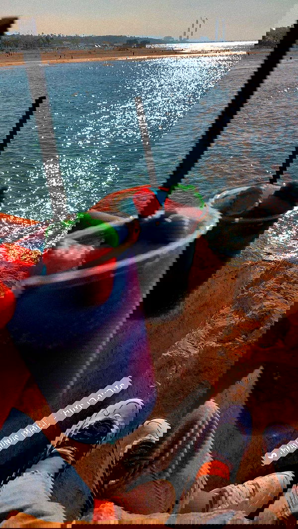 shanidahan7 image ~ Altpins