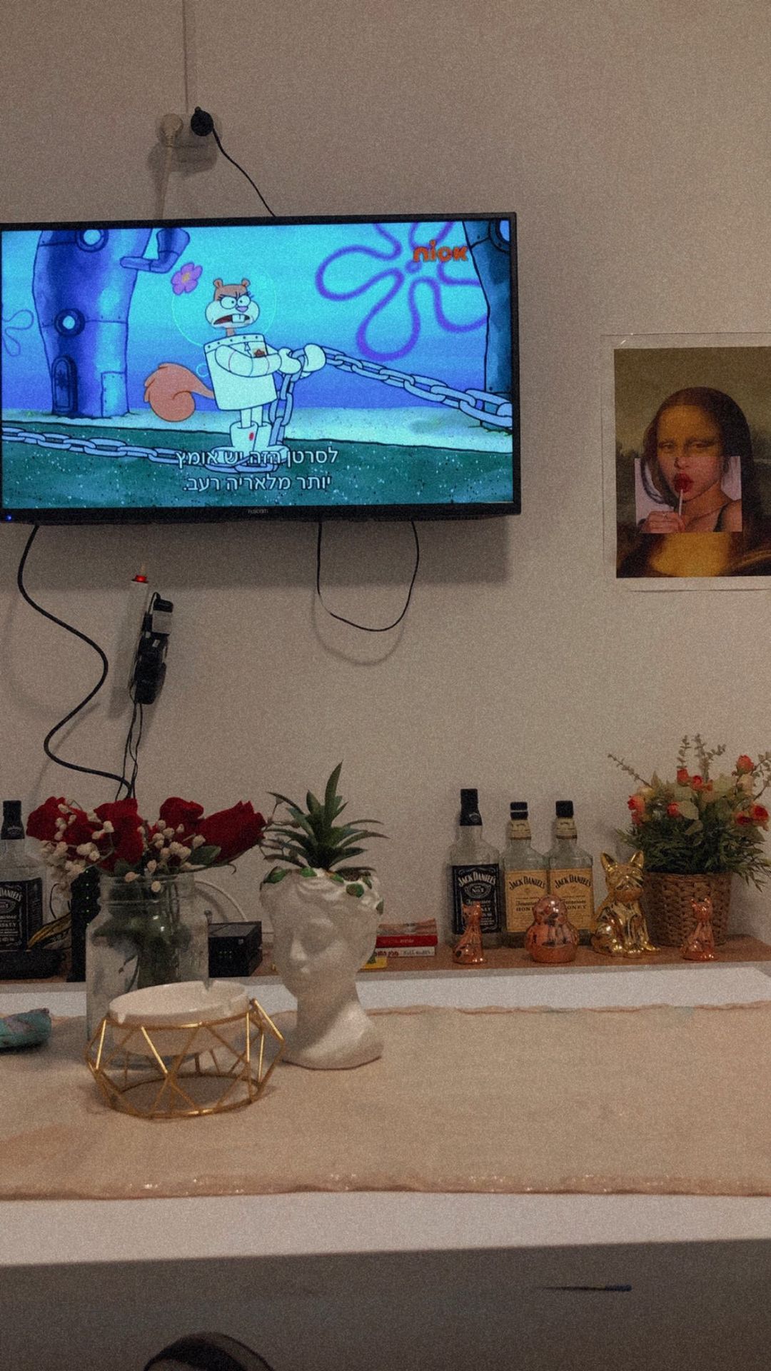 shanidahan7 instagram image archive image